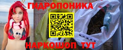 дживик Камень-на-Оби