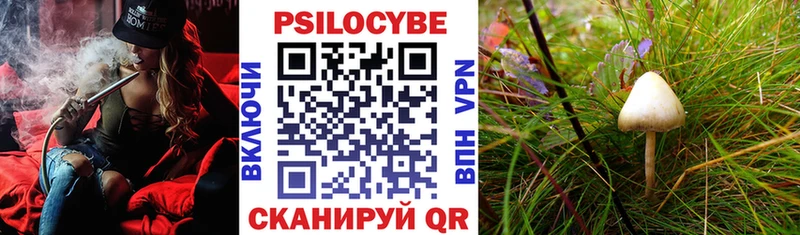 Псилоцибиновые грибы ЛСД  блэк спрут ссылка  Кинешма 